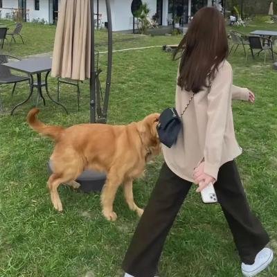 激流时代